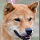 부광농장 이미지