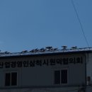 천곡목장 티스토리
