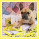 예스메디(YES MEDI) | 강아지 오르니틴 눈물자국 파파메디 유기동물 후원 와펜과 함께해요🍀