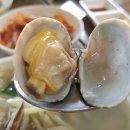 생각보다 맛있는 집 이미지