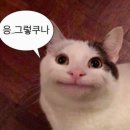[본식 피팅/셀렉] 황정아 본식 가봉/2부 드레스