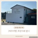 자석목장 | [제주여행] 아이랑 제주 여행 승마체험 || 목장카페 밭디