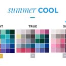 트루소프트 이미지