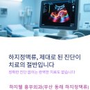 하지웰심장혈관흉부외과의원 | 부산 하지정맥류 초음파 진단, 숫자가 아니라 흐름을 봅니다. 하지웰 흉부외과