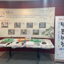 강릉원주대학교 박물관 이미지