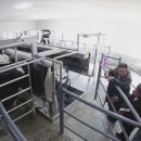 삼광축산 이미지