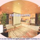 갑-210 | 도쿄 여행객 필독! 호텔 니혼바시 사이보 솔직 후기 &amp; 추천 (가성비 갑)