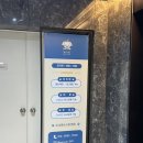 애견미용실 | 해운대애견미용 몽아띠 연중무휴 24시운영 애견미용실 후기