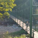 철정리_세천_033 | 홍천 가볼만한곳 수타사 공작산생태숲 산소길