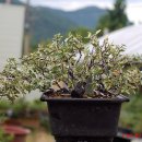 주립농장 이미지