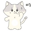 리리제주