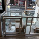 바르다펫 중화점 이미지