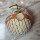 인제농장 | 인제 늘품애농장 멜론 내돈내산 후기