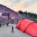 상동체육공원 이미지