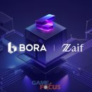 보라(Bora) 이미지