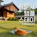 (개인) 김기훈 외 1인 | 용문사 템플스테이 예약 휴식형 가격 혼자 1인실 후기