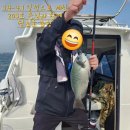 쉼표 솔하우스 이미지