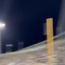 아니 미친 야구장에 공연온 아이돌 팬이 스탭을 물었대요 이미지