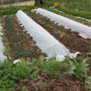 울릉초등학교 이미지