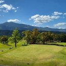 노송골프 이미지