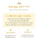 쥬쥬네 미깡밭 | 믿고 주문하는 제주도 귤 당일 수확 완숙 감귤 쥬쥬네미깡 / 귤 트리