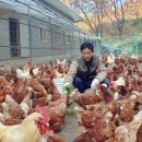 농원축산 이미지