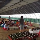 흙사랑 다육식물농원 이미지