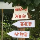 메밀촌 봉평막국수 이미지