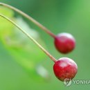 하루byH 이미지