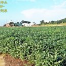 대정공인중개사사무소 이미지