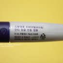 세기스템셀 네이버블로그