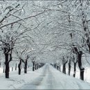 청주가로수길 이미지