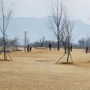 도개파크골프장 이미지