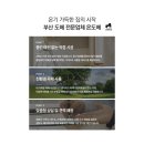 부산아파트도배 :: 기장도배 유림노르웨이숲 28평 전체 실크 시공 후기 ::
