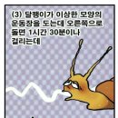 아니당
