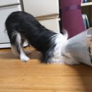 방배한강동물병원 이미지