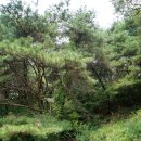 단산농장 이미지