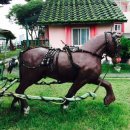 강촌걸리버여행기 이미지