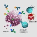 카인넥스 이미지