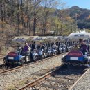 (주)하이원추추파크 이미지