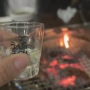 코뚜레정육