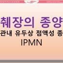 선관내 이미지