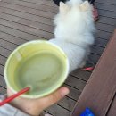 은계숲생태공원 화장실 이미지