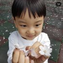 숭의유치원 이미지
