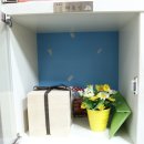 야옹이PC 이미지