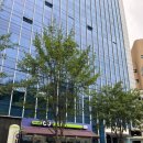 CU 성북점 이미지