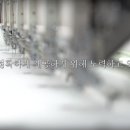 대성어패럴 네이버블로그