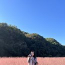 GS25 옥천향수점 이미지