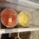 유성상사 | 대전봉명동맛집 고기집 육향정 정육식당 한우 유성맛집