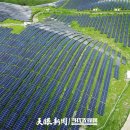 신화2태양광발전소 이미지
